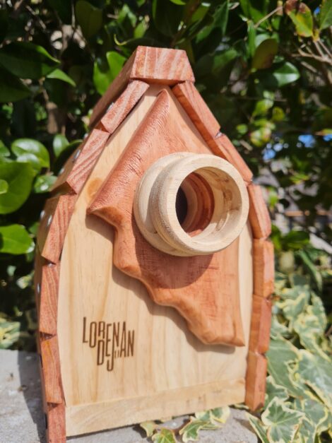 20230301_114352-scaled