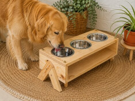 Comedero elevado para mascotas modelo «Creta»